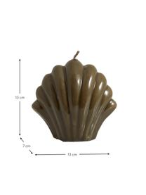 Sierkaars Ibo in de vorm van een schelp, Paraffinewas, Bruin, B 13 x H 13 cm