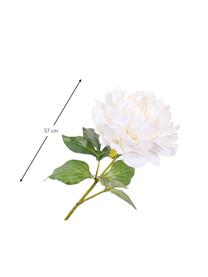 Kunstblume Pfingstrose, Weiß, Kunststoff, Metalldraht, Weiß, L 57 cm