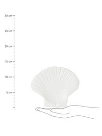 Talerzyk deserowy z dolomitu Shell, Dolomit, Biały, S 16 x D 13 cm