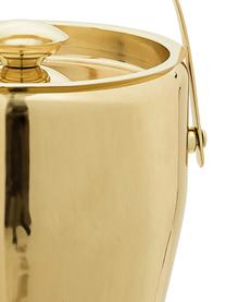 Refrigeratore bottiglie Royal, Acciaio inossidabile, Dorato, Ø 19 x Alt. 20 cm