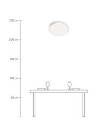 Lampa sufitowa LED Zon, Biały, Ø 60 x W 6 cm