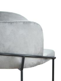 Sedia imbottita in velluto grigio chiaro Polly, Rivestimento: velluto (100% poliestere), Gambe: metallo, Velluto grigio chiaro, nero, Larg. 57 x Prof. 55 cm