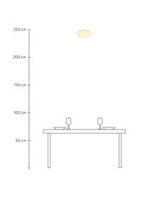 Plafón pequeño LED regulable Oja, Pantalla: plástico, Blanco, Ø 29 x Al 2 cm