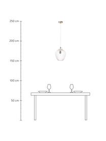Lampada a sospensione piccola in vetro Lee, Paralume: vetro, Baldacchino: metallo cromato, Trasparente, cromo, Ø 27 x Alt. 33 cm