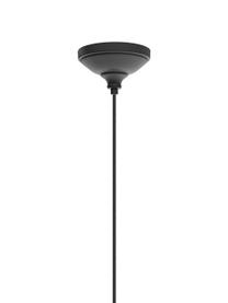 Kleine hanglamp Trey, Baldakijn: gepoedercoat metaal, Fitting: gepoedercoat metaal, Zwart, Ø 10 x H 8 cm