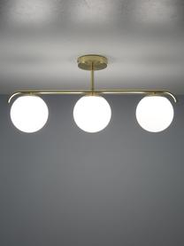 Lámpara de techo de vidrio opalino Grant, Estructura: metal recubierto, Anclaje: metal recubierto, Blanco, latón, L 70 x Al 30 cm