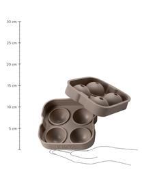 IJsblokjesvorm Sphere van silicone, Siliconen, Taupe, B 12 x H 5 cm