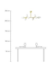 Stropná lampa z opálového skla Lilja, Biela, mosadzné odtiene, Š 100 x V 44 cm
