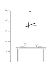 Lampada a sospensione di design Sticks, Baldacchino: metallo verniciato a polv, Nero, Ø 60