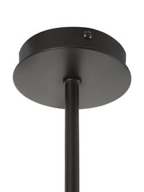 Grote moderne hanglamp Cassandra in zwart, Lampenkap: gepoedercoat metaal, Baldakijn: gepoedercoat metaal, Mat zwart, B 143  x H 73 cm
