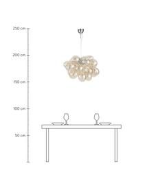 Glaskugel Pendelleuchte Gross Grande, Baldachin: Nickel, verchromt, Bernsteinfarben, Ø 62 x H 50 cm