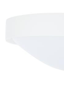 Petit plafonnier LED minimaliste Altus, Blanc, Ø 30 x haut. 9 cm