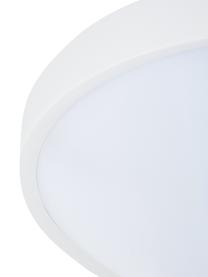 Petit plafonnier LED Altus, Blanc, Ø 30 x haut. 9 cm