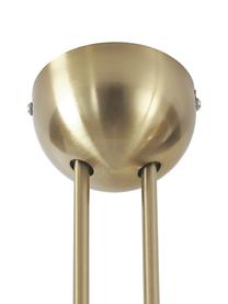 Plafondlamp Eva, Goudkleurig, B 101 x H 40 cm
