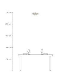 Lampa sufitowa Ben, Odcienie mosiądzu, transparentny, S 26 x W 10 cm
