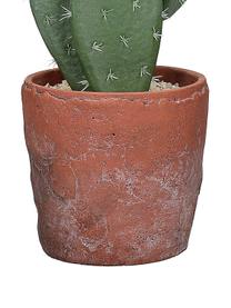 Cactus artificiel en cache-pot Terracotta, Vert, terracotta, Ø 13 x haut. 46 cm