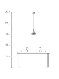LED hanglamp Alva, Lichtgrijs, Ø 24 x H 150 cm