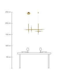Lampada grande a sospensione a LED Gratia, Struttura: metallo zincato, Paralume: vetro acrilico, Baldacchino: metallo zincato, Dorato, bianco, Larg. 90 x Alt. 50 cm