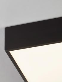 Kleine LED Bad-Deckenleuchte Zeus, Schwarz, B 30 x H 6 cm