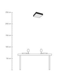 Kleine LED Bad-Deckenleuchte Zeus, Schwarz, B 30 x H 6 cm