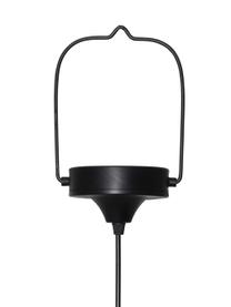 Zewnętrzna lampa solarna LED Sunlight, Czarny, Ø 29 x W 35 cm