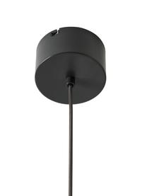 Lampa wisząca LED Alva, Antracytowy, Ø 24 x W 150 cm