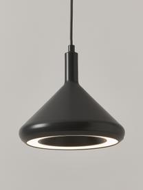 Suspension LED anthracite Alva, Noir, Ø 24 x haut. 150 cm