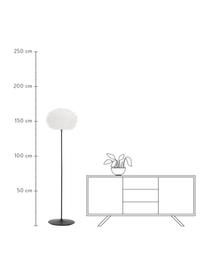 Grote vloerlamp Eos van veren, Lampenkap: ganzenveren, RDS gecertif, Frame: gepoedercoat aluminium, Lampvoet: gepoedercoat staal, Wit, zwart, Ø 45 x H 170 cm