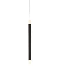 Lampada piccola a sospensione a LED nera Wands, Paralume: acrilico, Struttura: metallo rivestito, Baldacchino: metallo rivestito, Nero, bianco, Ø 3 x Alt. 43 cm