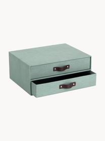 Organizador de escritorio Birger, Caja: canvas, cartón macizo, Asa: cuero, Verde salvia, marrón oscuro, An 33 x Al 25 cm