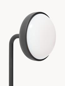 Aplique LED James, Pantalla: vidrio opalino, Estructura: metal, Negro mate, An 22 x Al 50 cm