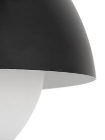 Lampada a sospensione Lucille, Baldacchino: metallo spazzolato, Paralume: vetro, Nero, bianco, Ø 35 x Alt. 30 cm
