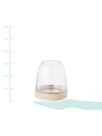 Windlicht Filio, Paulowniahout, glas, Lichtbruin, transparant, Ø 13 x H 13 cm