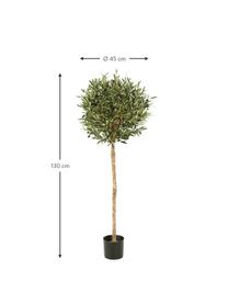 Planta artificial Olivo, Poliéster, tronco de materiales naturales, Verde, Ø 45 x Al 130 cm