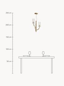 Závěsné svítidlo Arco, Transparentní, zlatá, Š 35 cm, V 54 cm