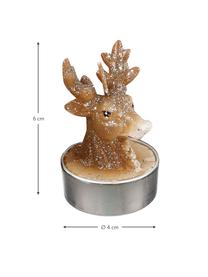 Čajové sviečky Deer, 6 ks, Vosk, Hnedá, Ø 4 x V 6 cm