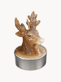 Teelichter Deer, 6 Stück, Wachs, Braun, Ø 4 x H 6 cm