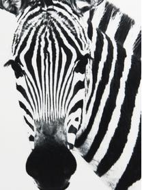 Kussenhoes Kelsey met zebra motief in zwart/wit, 100% polyester, Wit, zwart, 45 x 45 cm