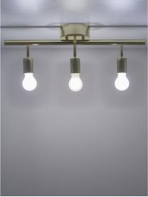 Faretti da soffitto dorati Row, Baldacchino: ottone verniciato, Ottone, Larg. 60 x Alt. 40 cm