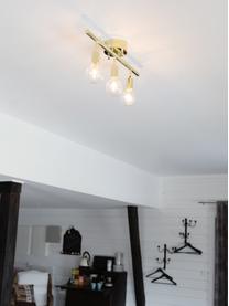 Faretti da soffitto dorati Row, Baldacchino: ottone verniciato, Ottone, Larg. 60 x Alt. 40 cm