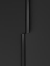 Armario modular Leon, 2 puertas (100 cm), diferentes variantes, Estructura: tablero aglomerado revest, Negro, Interior Basic (An 100 x Al 200 cm)