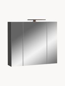 Miroir avec rangement et éclairage LED Elisa, larg. 76 cm, Anthracite, argenté, larg. 76 x haut. 71 cm