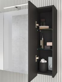 Badkamer spiegelkast Elisa met LED verlichting, Frame: met melamine beklede spaa, Antraciet, zilverkleurig, B 76 x H 71 cm