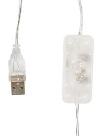 LED Lichterkette Moodi, Lampions: Polyester, Rosa, Blau, Beige, Weiss, L 264 cm