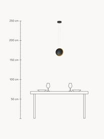 Malé závesné LED svietidlo Shell, Potiahnutý hliník, Čierna, odtiene zlatej, Ø 20 cm