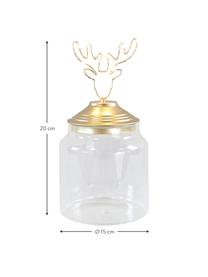 Úložná LED dóza Deer, Priehľadná, odtiene zlatej, Ø 15 x V 20 cm