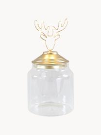 LED opbergpot Deer, Pot: glas, Deksel: gecoat metaal, Transparant, goudkleurig, Ø 15 x H 20 cm