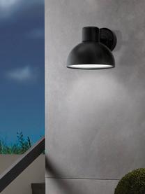 Outdoor wandlamp Entrimo, Lampenkap: verzinkt staal, Diffuser: kunststof, Zwart, B 20 x H 19 cm