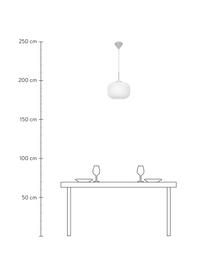 Lámpara de techo de vidrio opalino Milford, Pantalla: vidrio opalino soplado ar, Anclaje: metal recubierto, Cable: cubierto en tela, Blanco, dorado, Ø 30 x Al 24 cm