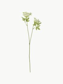 Kunstblume Fenchel, Kunststoff, Metall, Grün, Weiß, L 66 cm